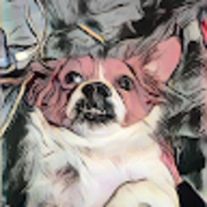 Meet your Posher, Fuck